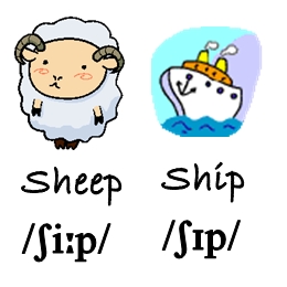 Sheep-ship